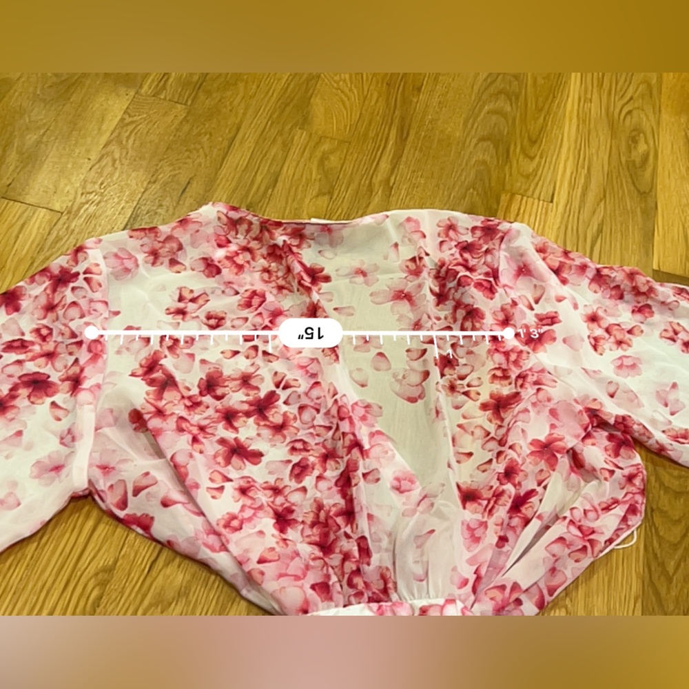 Oscar de la Renta Sheer Pink Robe - Picture 5 of 6